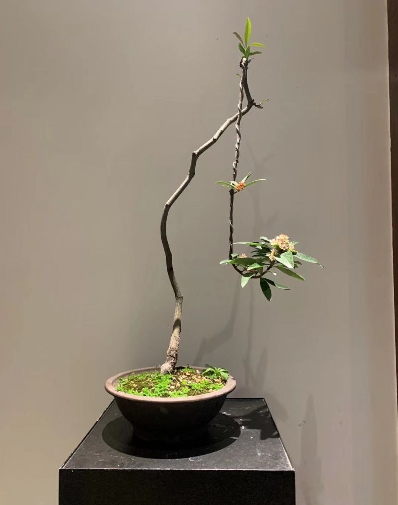 聊聊口碑好的室内装修公司，日式风格的推荐哪家 - 家居知识