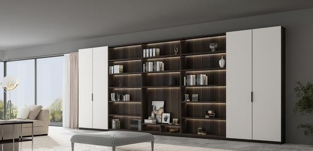 家中藏书日益增多，堆积如山的书籍不仅占满空间，每次寻书更是如同大海捞针，更别提那积满的灰尘令人头疼不已。