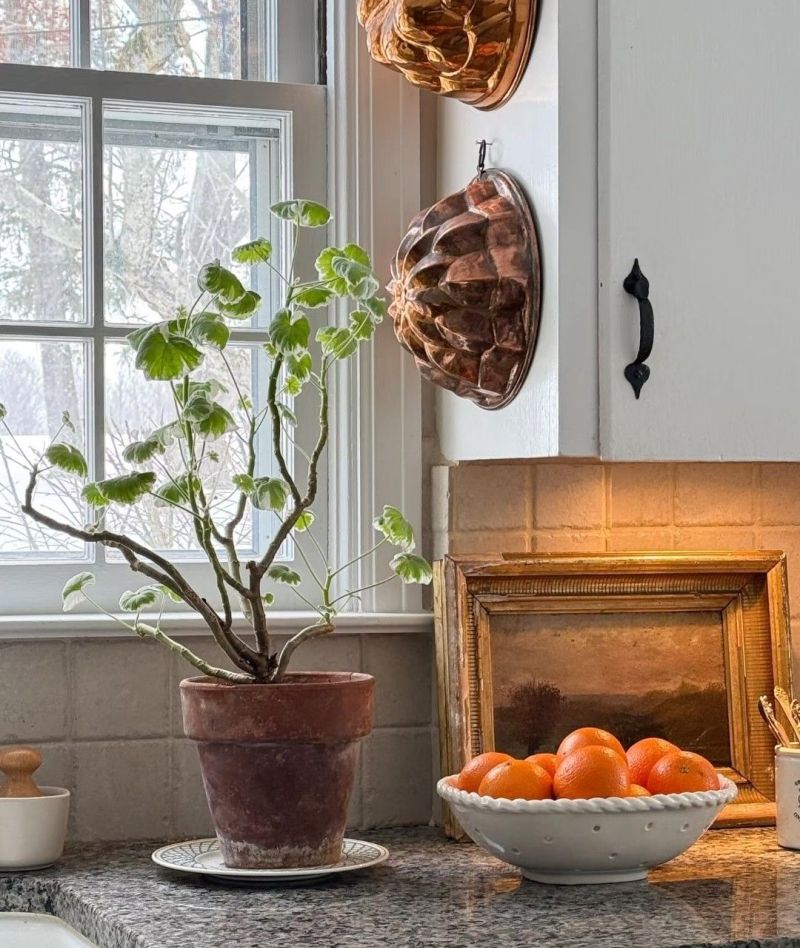 家居美学：浪漫的法式复古，不费力的高级感 - 家居知识