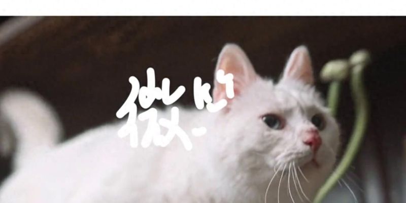 简约生活，轻松打造舒适空间的5个技巧