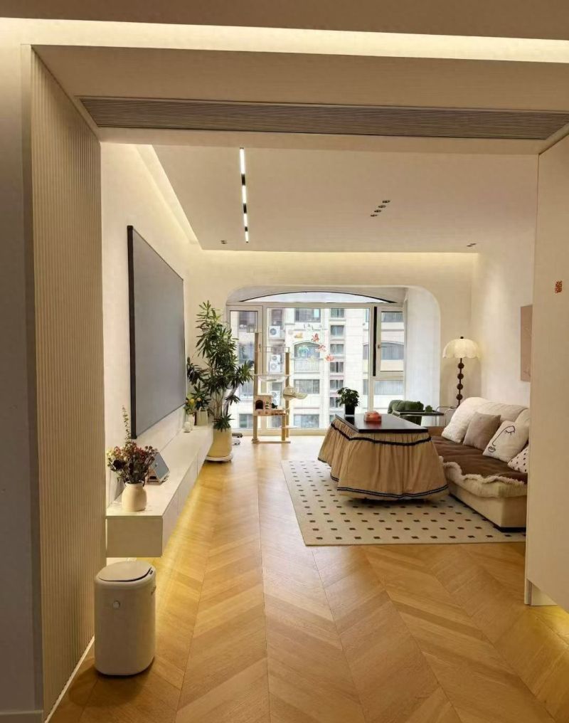 现代简约风新家入住体验，实用与美感的完美结合