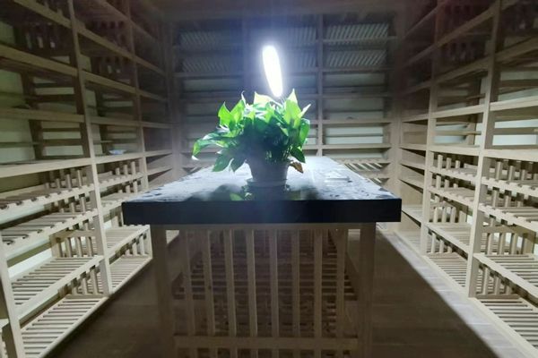 探寻高性价比地下室酒窖定制厂家,靠谱推荐 探寻性价比高的地下室酒窖酒柜定制厂家,哪家比较靠谱 - 家居知识