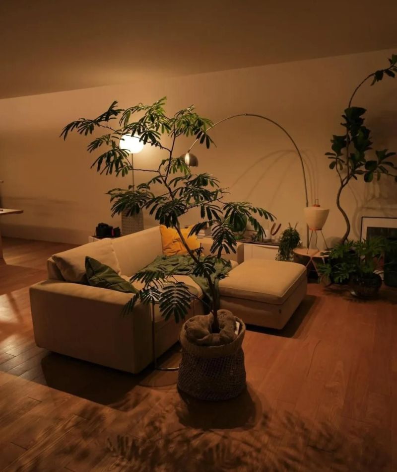 日本博主的治愈系家居,宅家幸福感爆棚! 日本博主的家,舒服到不想出门! - 家居知识