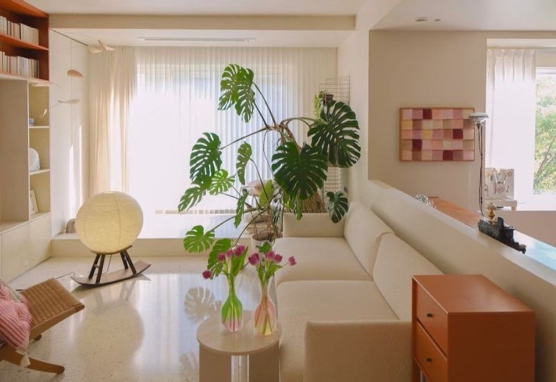 5个网红装修设计,好看实用直接照搬! 这“5个网红装修”完全可以照搬回家,好看又好用,晒给大家瞧瞧 - 家居知识