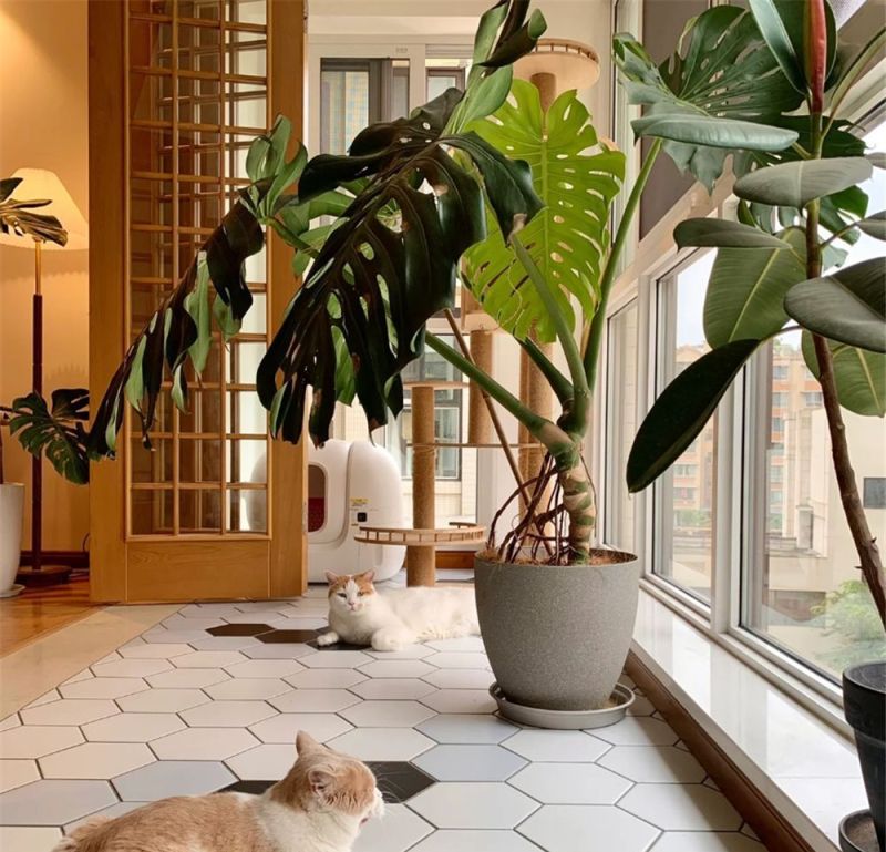 一位四川姑娘的日式客厅：套内90㎡的家，客厅装修太有质感，羡慕 - 家居知识