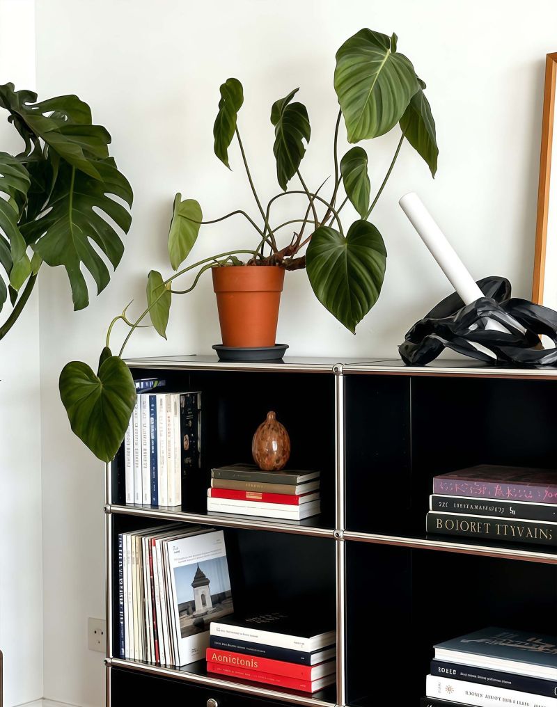 🟢中古风家｜把复古浪漫焊在房子里✨ - 家居知识