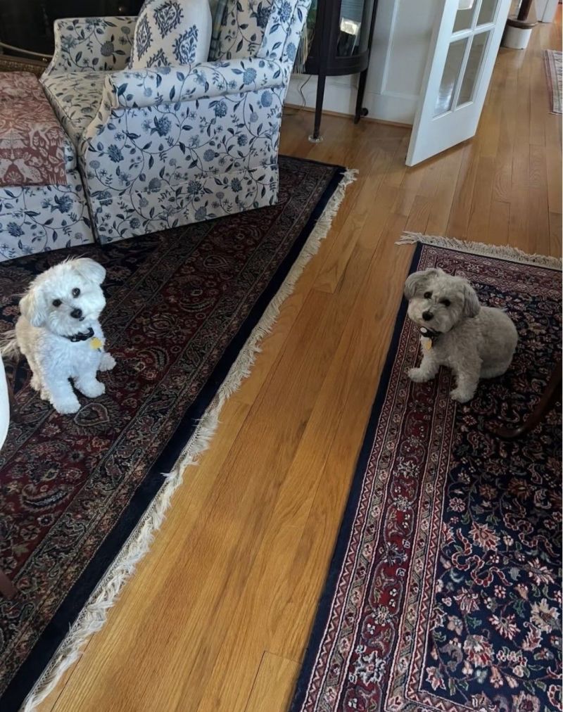 家居美学：美式田园风的家 - 家居知识