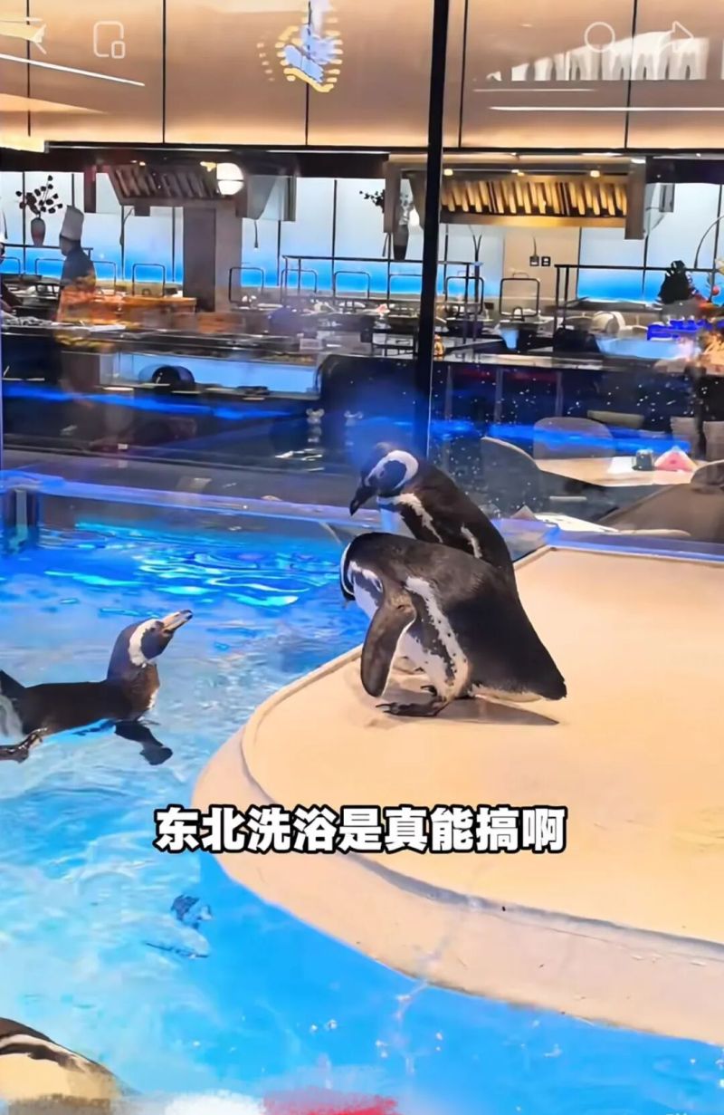 沈阳澡堂爆改好莱坞片场,洗浴文化玩出新高度 html