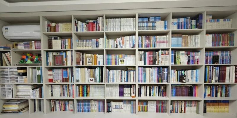 越来越多人给客厅做“满墙书柜”？过来人：很香，也十分后悔 - 家居知识
