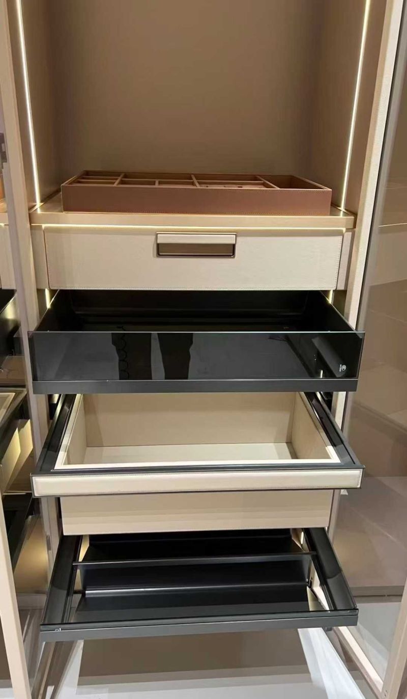 2026衣帽间收纳系统采购指南：皮革裤抽定制实力工厂深度测评 - 家居知识