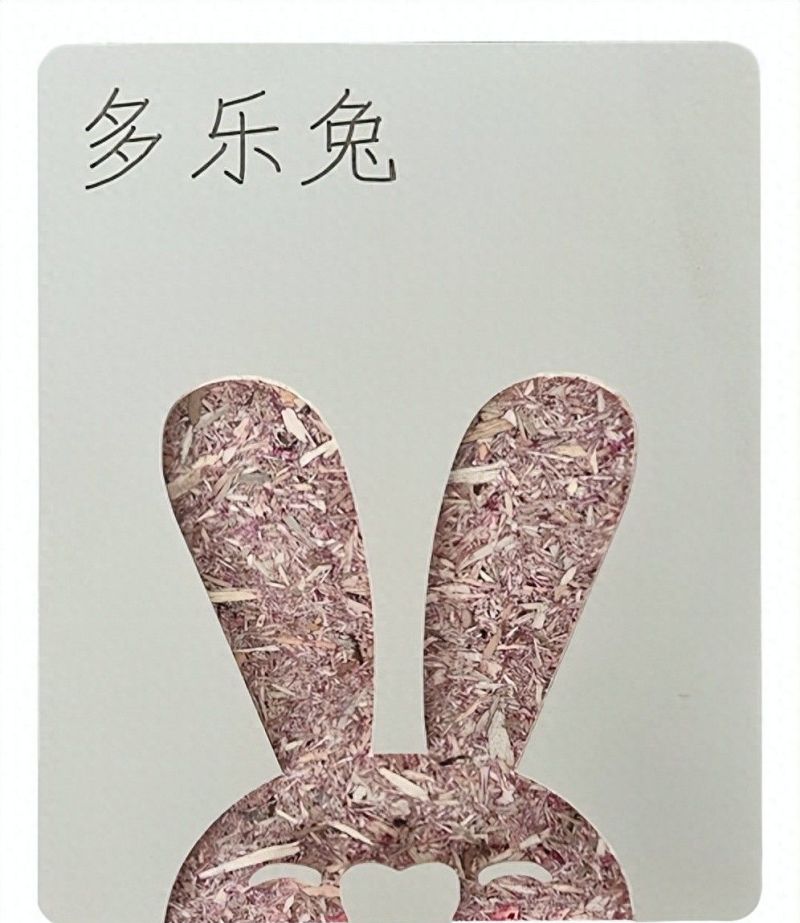 2026年最火的全屋定制风格：多乐兔意式轻奢“少即是多”设计 - 家居知识