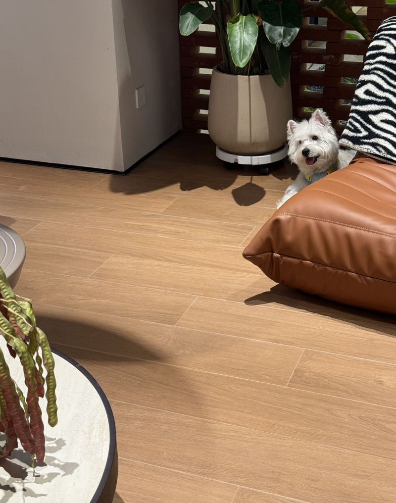 现代原木风装修瓷砖品牌推荐,高性价比之选 深聊现代原木风装修瓷砖选择,哪家品牌性价比高值得选择 - 家居知识