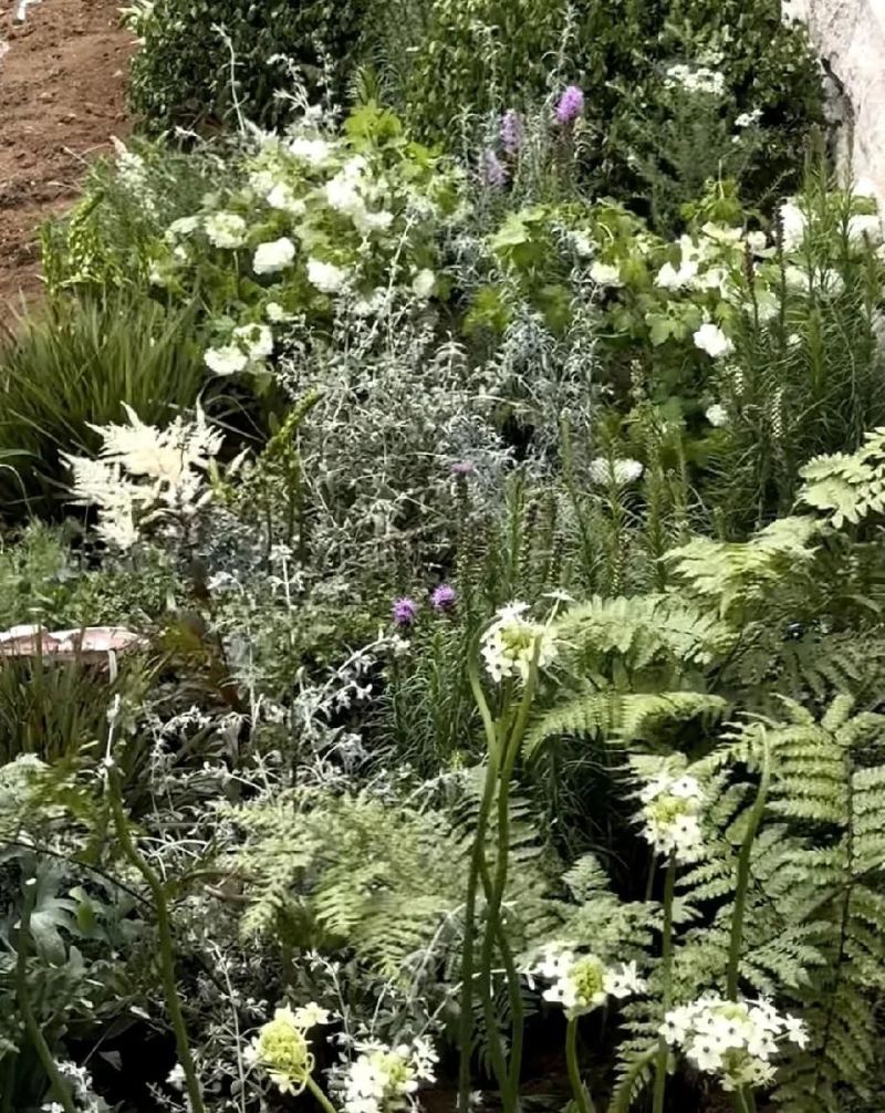 吴千语上海别墅快装好啦，原木法式风超大气，和老公强强联合！ - 家居知识