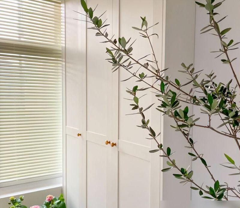 浙江一户人家，因“极简装修”而走红，全屋一件家具都没有，晒晒 - 家居知识