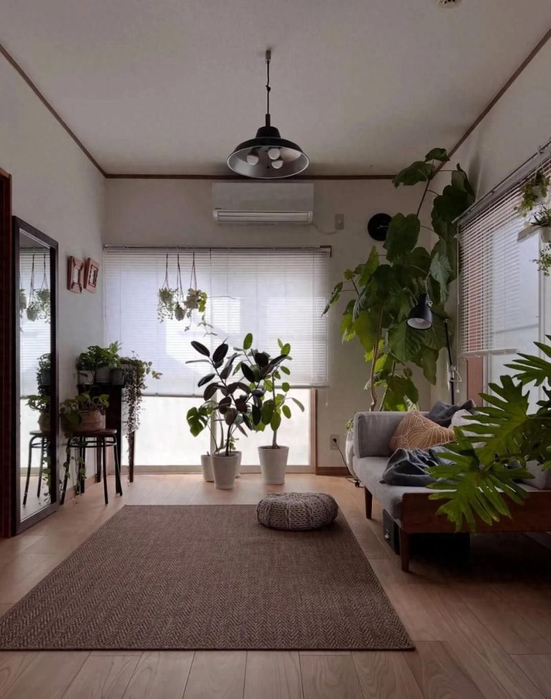 日本博主独居生活，藏在细节里的松弛美学