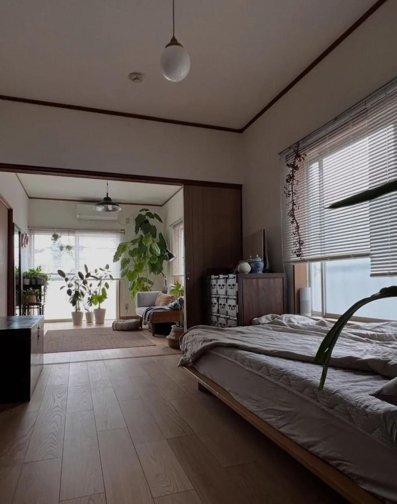 日本博主的家，藏着独居最松弛的模样！ - 家居知识