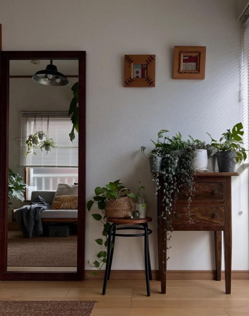 日本博主的家，藏着独居最松弛的模样！ - 家居知识