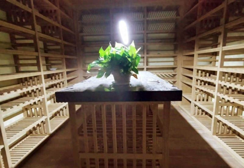 实力酒柜定制工厂推荐，如何选择优质厂家？