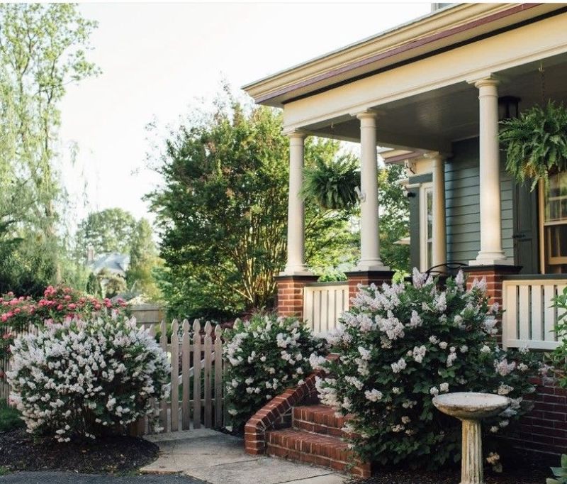 她的百年老房改造，清新美式田园风平静不跳跃，待着非常惬意 - 家居知识