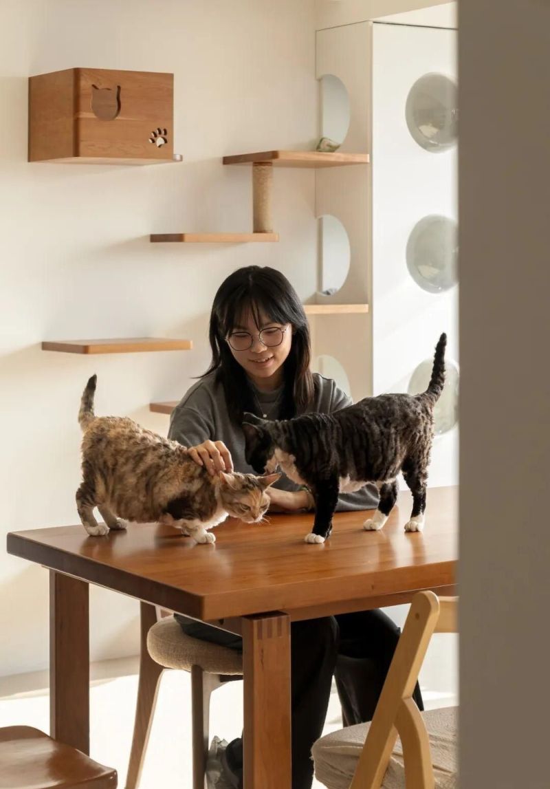 150㎡人猫共居,治愈带娃收纳痛点的中古风之家 - 今日头条 150㎡人猫共居,治愈带娃收纳痛点的中古风之家 - 家居知识