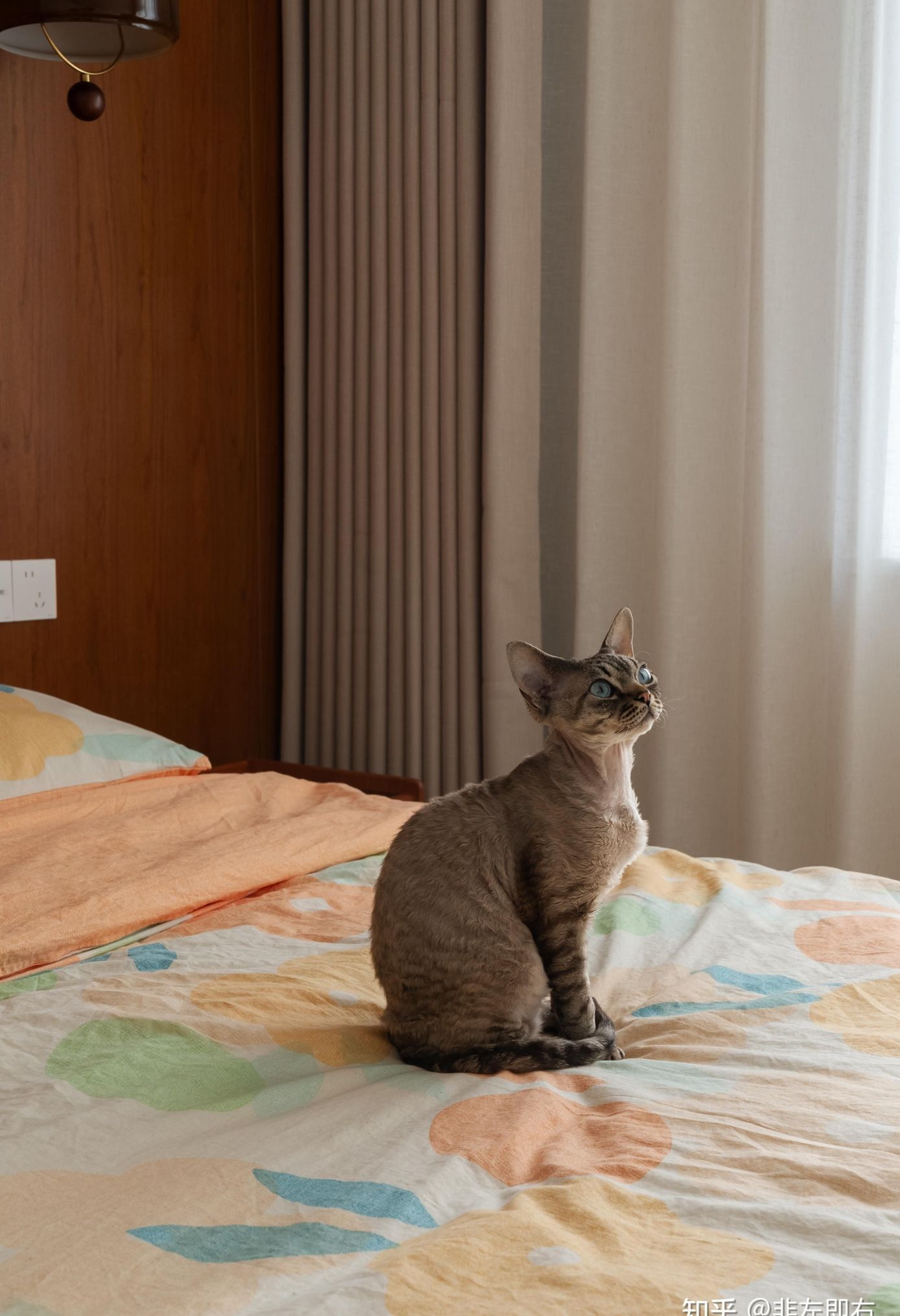 150㎡人猫共居,治愈带娃收纳痛点的中古风之家 - 今日头条 150㎡人猫共居,治愈带娃收纳痛点的中古风之家 - 家居知识