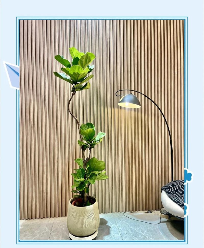 家装风向突变?侘寂风退潮,暖极简原木风成新宠 - 今日头条 家装风向突变?侘寂风退潮,暖极简原木风成新宠 - 家居知识