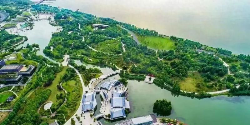苏州东太湖生态园的夏天把冰饮、湖景、治愈感全凑齐了 - 今日头条